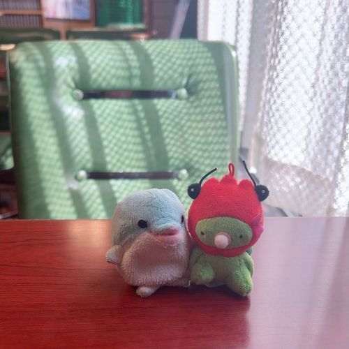 あかちゃん はじめてのおでけけはいるかがおしえたげるかりゃね ここはね きっしゃてん
