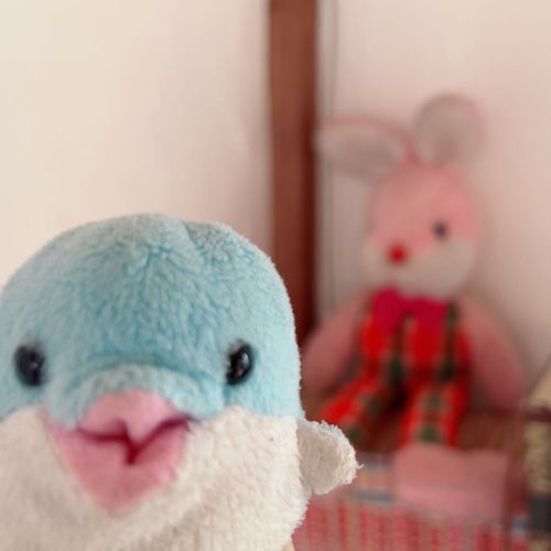 だいせんぱい こんにちわ