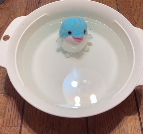 チャプ…