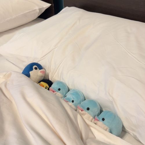 ねむれませんね