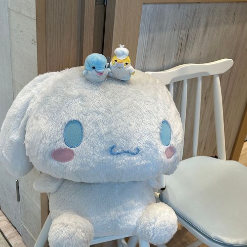 しなもん こにちわ