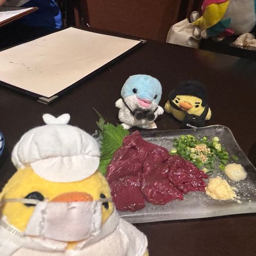 これは ばさしです ｶﾁｶﾁ