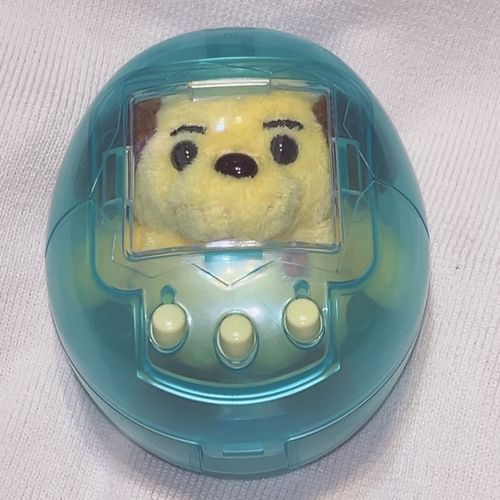 ここから出せワン‼️