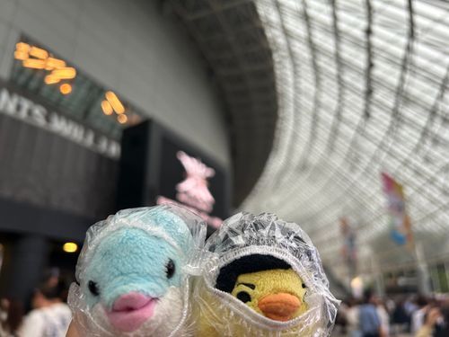 雨のためカッパ着用
東京どーむ 人たくさんだ