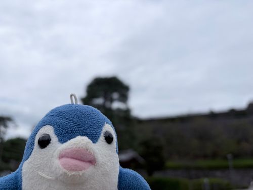 甲府 たのしい