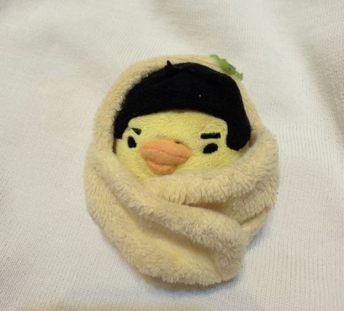 就寝時のすがた
