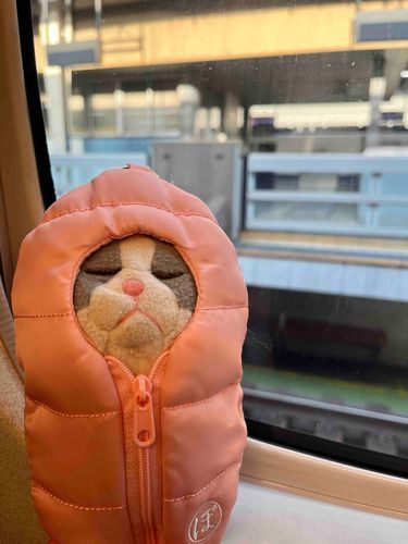 おでかけ！！