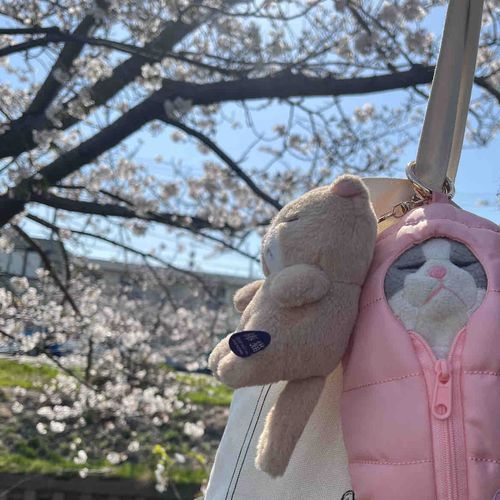 一緒におでかけ😊⟡.·