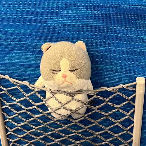 ちょっときつかった､、
