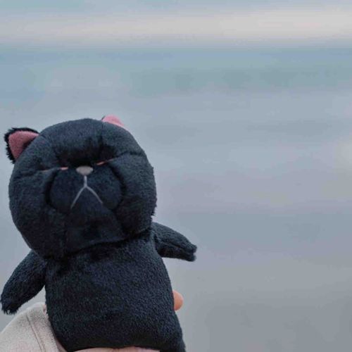 海とくろ