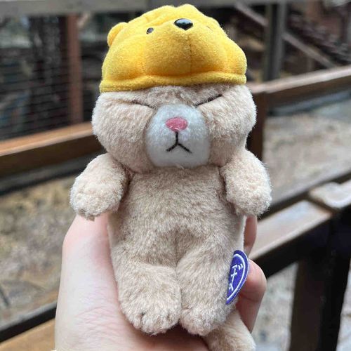 ちょっとちいさいかも、、