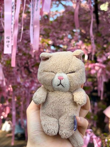 お願い叶うといいね🌸
