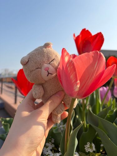今年もチューリップ見れたね🌷