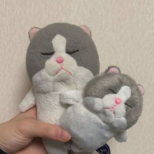 新入りのはんぺんちゃん(´˘`＊)これからよろしくね