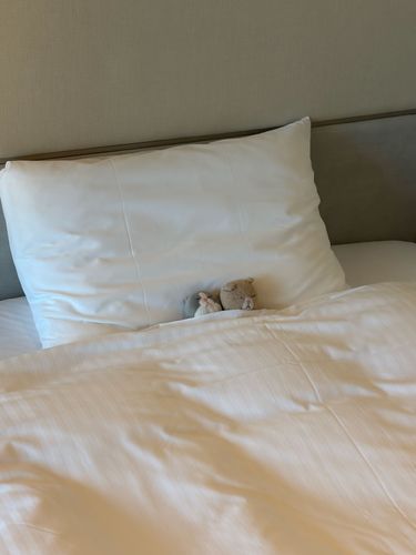 おっきなベッドでおやすみなさい