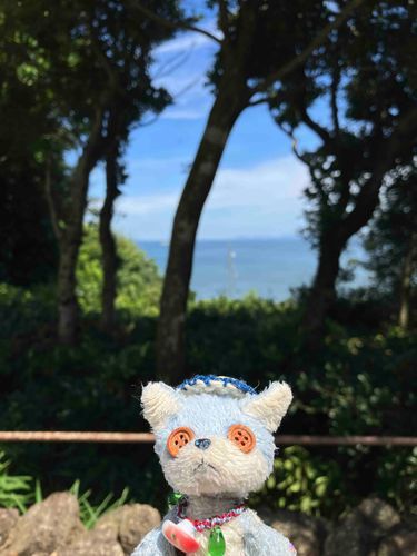 海が見える〜