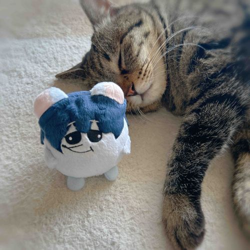 友人宅でねているねこの射程圏内をうろつくつむちゅ