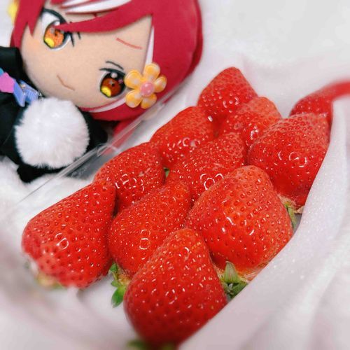 ぁまぉぅいちご　きれいだﾈ♪