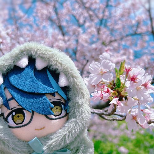 10にちまえのしゃしんです🌸
おはなみのひとたちがいっぱいでした