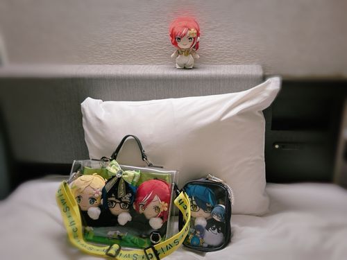 すたらいにいっﾀ( vᓀﾉ ᓂjﾘ‪)˚✧
（＋パッキングされて運ばれていたぬいたち）