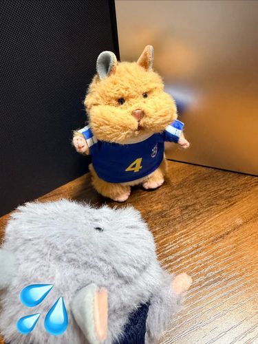 ハム吉の右手がちょっとだけ内側にそってるから、なんとなく「・・・かかって来な！」って言ってるっぽいポーズになる。