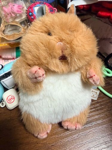 お出迎え当初は生意気に「やんのか？！」と言わんばかりの姿でした