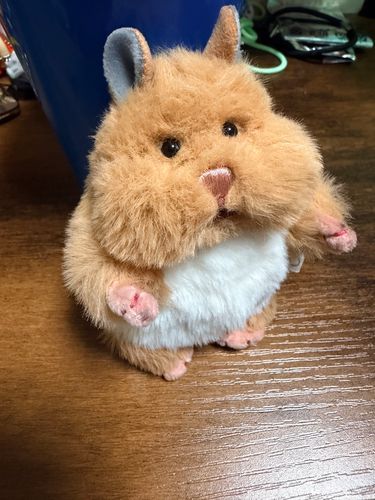 カットしてほっぺた、口周り強調！やんのかポーズは健在