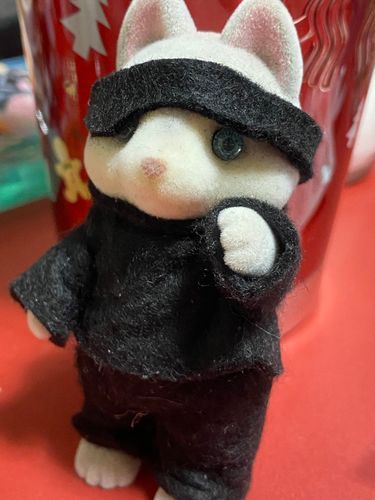 うちのバニアは六眼持ちです