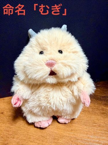 むぎちゃんです！
こむぎと迷ってジェンダーレスにしたくてむぎって名前にしました！