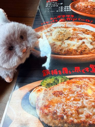おじーちゃんのげんげん初めてのハンバーグ来店！