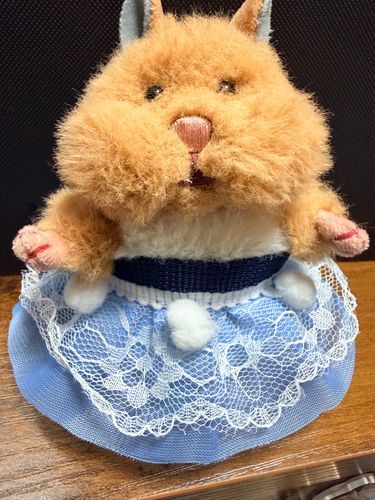 姪っ子の梨ちゃんにスカートを作りました！
ドレスみたい！