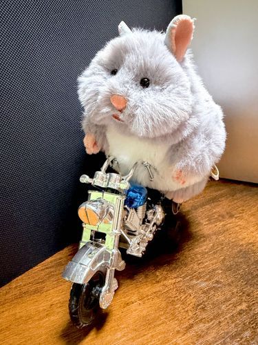 3人乗り自転車がなんだって？？
こちとらバイクだぁ！
(お腹つっかえてるし、ウィーリーしてるよ。おじーちゃん！！)