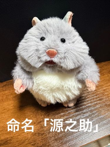 カットしたよ！名前は源之助です！よろしくね！
