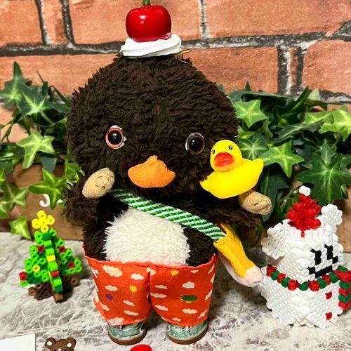 東京トガリくんの弟のノラくん　我が家名　リーフくんです　もう少しでジーナくんも帰ってくるよ
宜しくお願いします🤗