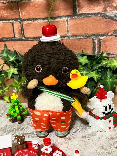 東京トガリくんの弟　ノラくん　我が家名　リーフくんの日常をポストしていきます　よろしくお願いします
