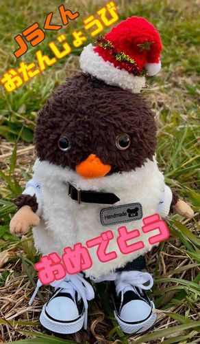 きょうは　ほんものの　ノラくんの　おたんじょうび　ボクたちは　ぬいぐるくん　と　よばれているよ
ノラくんおたんじょうび　おめでとう🎊