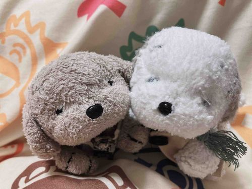 (左)ジャンプと(右)うめ吉です。
よろしくおねがいします