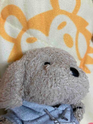 だらだらしてました
