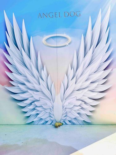 ANGEL DOG(ワニ)