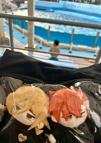 水族館でイルカ見た。
イルカの方が兄貴や他バカ2人より賢そうだった。