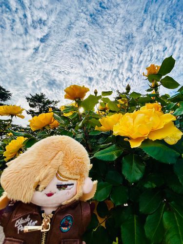 今日はバラ園に行ってきたよ〜💛