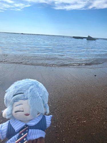 海