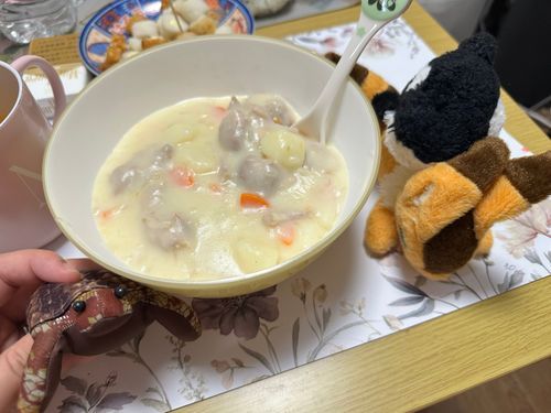 今日はシチュー
うまかったよᵔᢦᵔ

あるじはにゅうとうふたいしょー？
でおなかいたくなったらしい

イヨ。。ねてない？