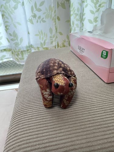 たった！
プルプルした