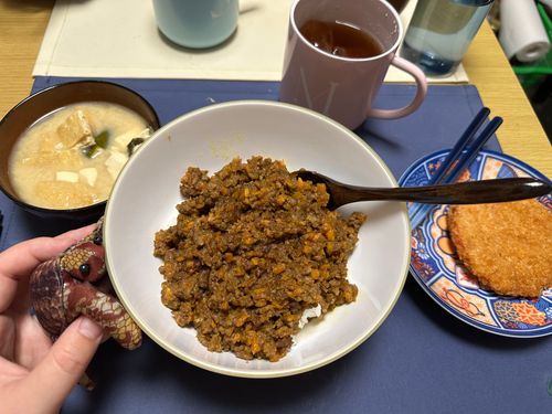 今日はキーマカレー！
あまくちだからおいらも食べれた
ありがとうあるじ(*  ˊ꒳ˋ*)
ちなみにデザートは
あるじ印のぎゅーにゅープリン
うんまかった〜(๑'ڡ'๑)୨♡