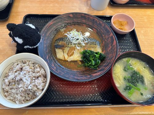 鯖の味噌煮with五穀米
超？ヘルシーなのよ
肉食系肉、ｹﾞﾌﾝ女子だけど
たまにはね(⑉･ ･⑉)

あるじは
ﾊｯﾊｧ！このレシピ欲しい！！

╮(´･ᴗ･` )╭