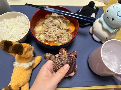 ごめん！あげわすれ！
いつぞやのばんごはん
第1弾肉じゃが！

あるじが1時間かけてつくって
3時間ほうちしてしみっしみになった
肉じゃが！

唯音にも好評でした。😊⇽あるじ
うんっっまかた(๑'ڡ'๑)୨♡