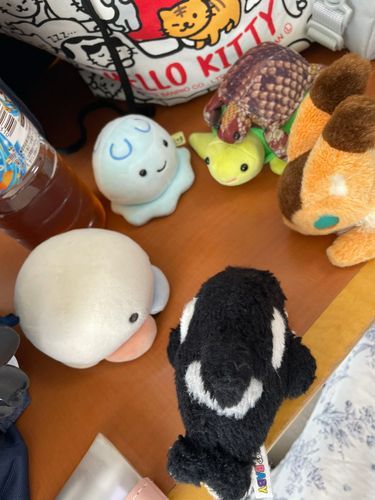 5人 「だれ！？」

ぁ。はじめまして
今日からよろしくおねがいします。
カメです。なまえはまだありません

おいらのかめなかまできたー(≧▽≦)
