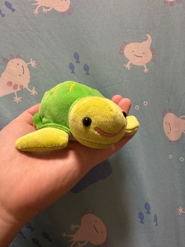 ミサキ
って付けてもらいました
よろしくお願いします