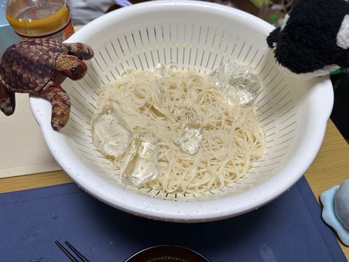 やっぱ夏はこれだね！
チュルチュルうまうま！
(*´˘`*)